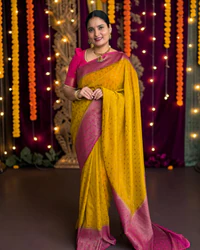 Banarasi Khadi Georgette (Triple Mango Border) · Hema Style Studio